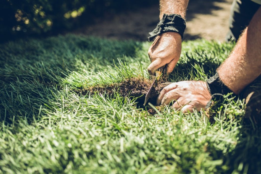 An expert landscaper cutting sod to ensure it’s a perfect fit.