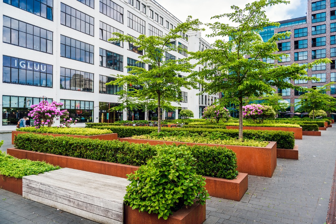 A well taken care of lawn that gets expert care on a routine basis.
