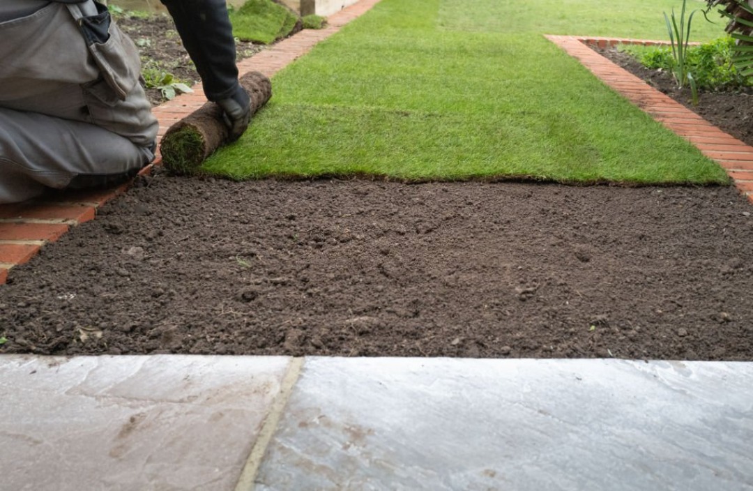 A professional rolling out new sod.