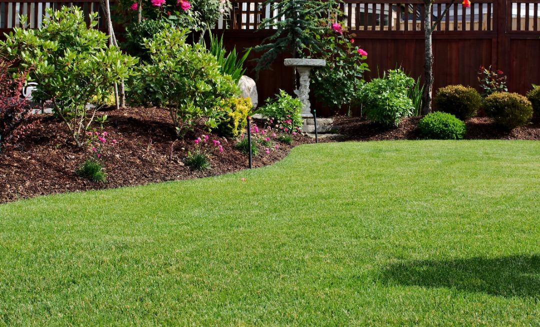 A professionally managed lawn with new mulch installed to ensure a healthy growth.