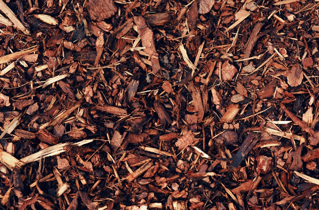 An up close shot of fresh mulch.