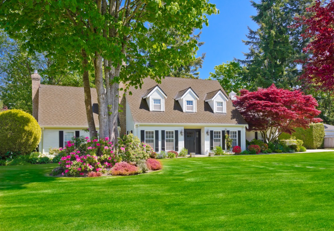 A professionally looked after landscape to a gorgeous home.