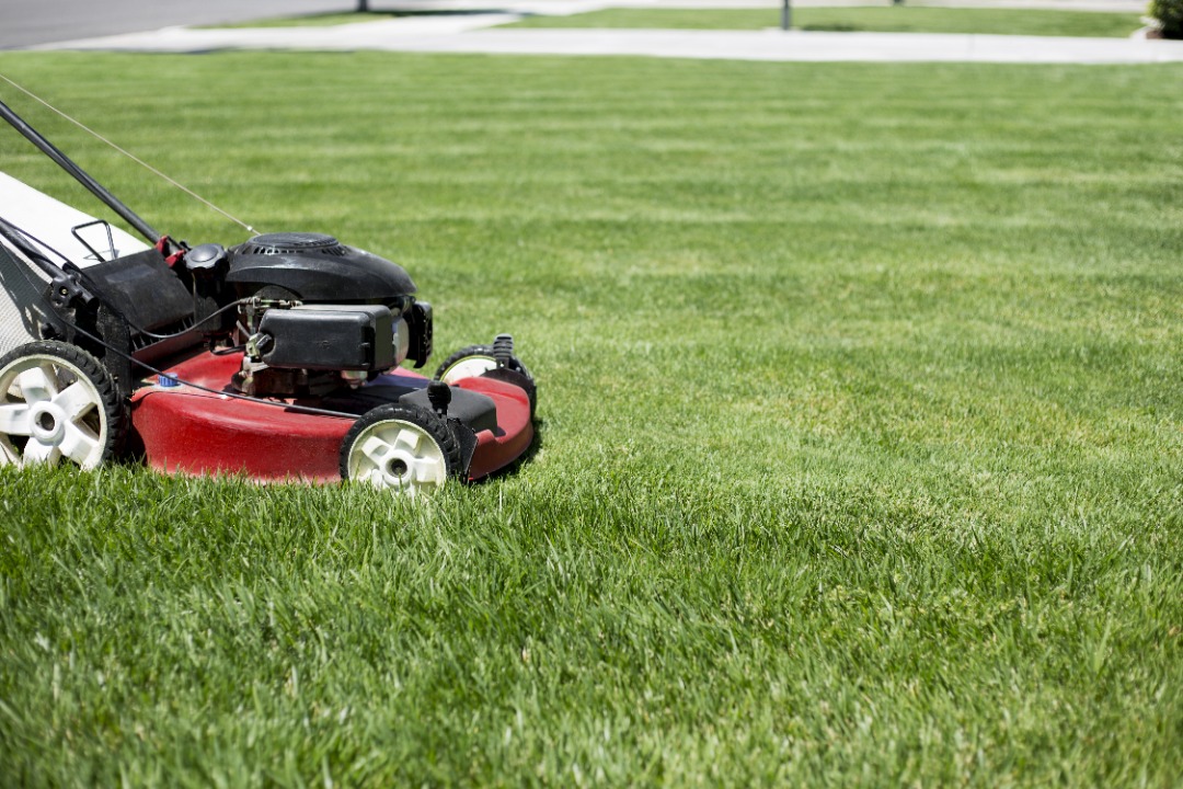 A red push mower cutting grass.