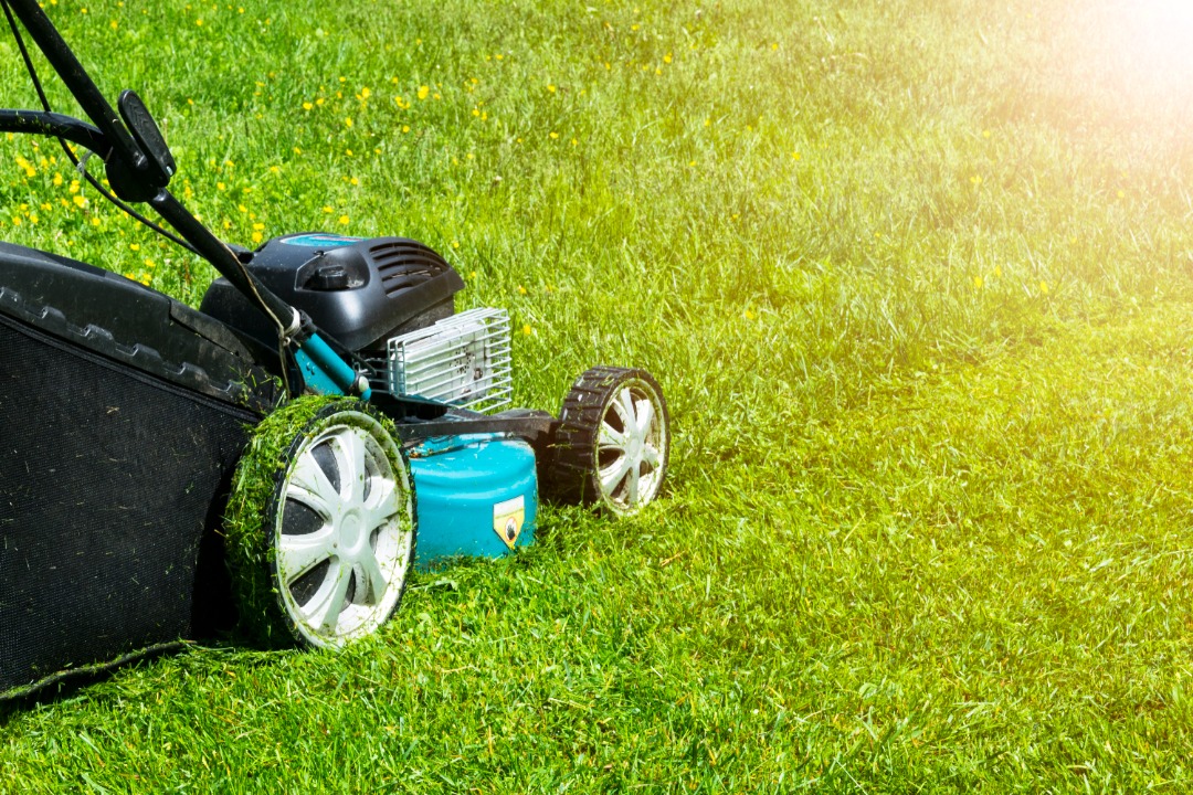 A blue push mower in the process of cutting some lush green grass.