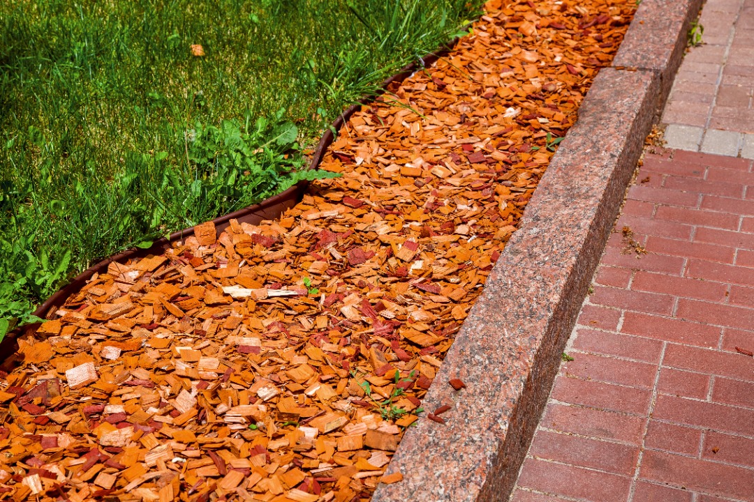 Big red mulch chips that bring a pop of color to lawn.